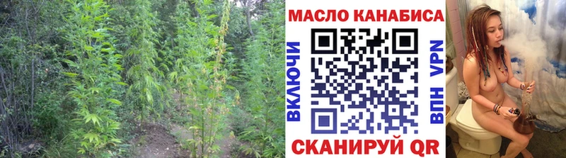 закладки  Болхов  ТГК концентрат 